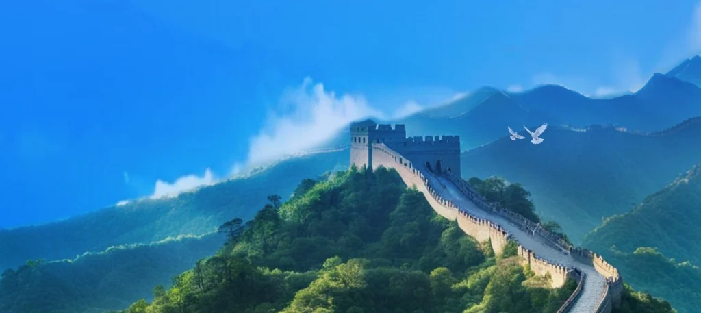 上海市 · 自然人电子税务局扣缴端 - 工资薪金代扣代缴申报